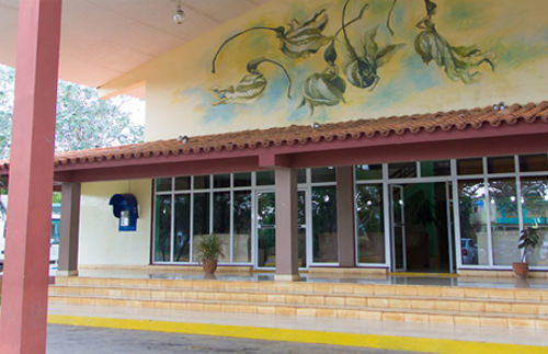 Yagrumas Hotel San Antonio de Los Banos Exterior foto